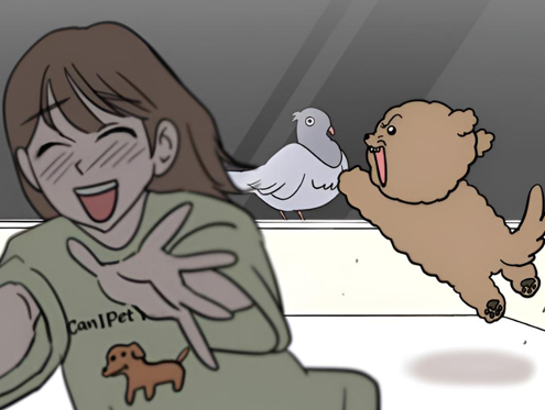 我家汪星人变五岁啦 第二话-北京蒙悦科技有限公司