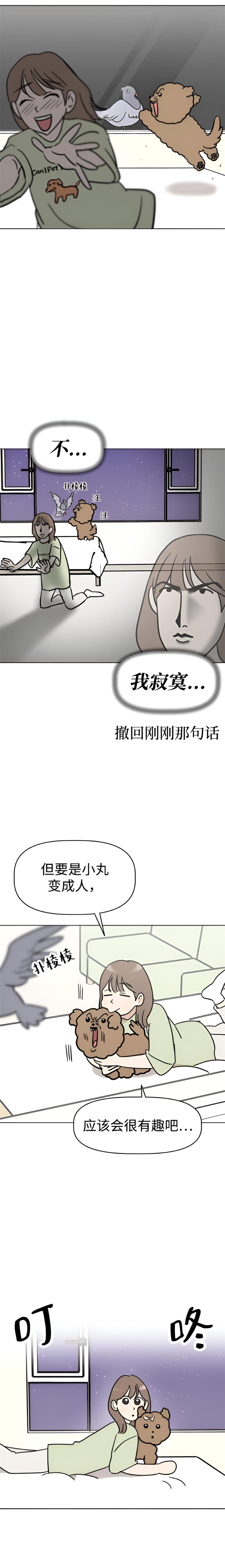 我家汪星人变五岁啦 第二话-北京蒙悦科技有限公司