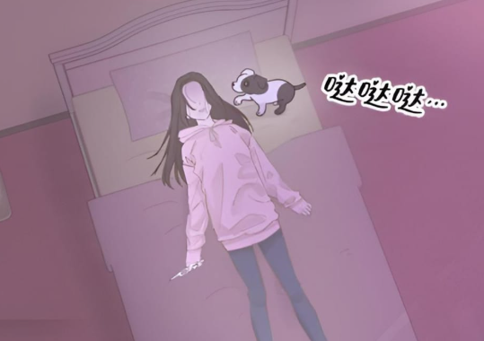 我家汪星人变五岁啦